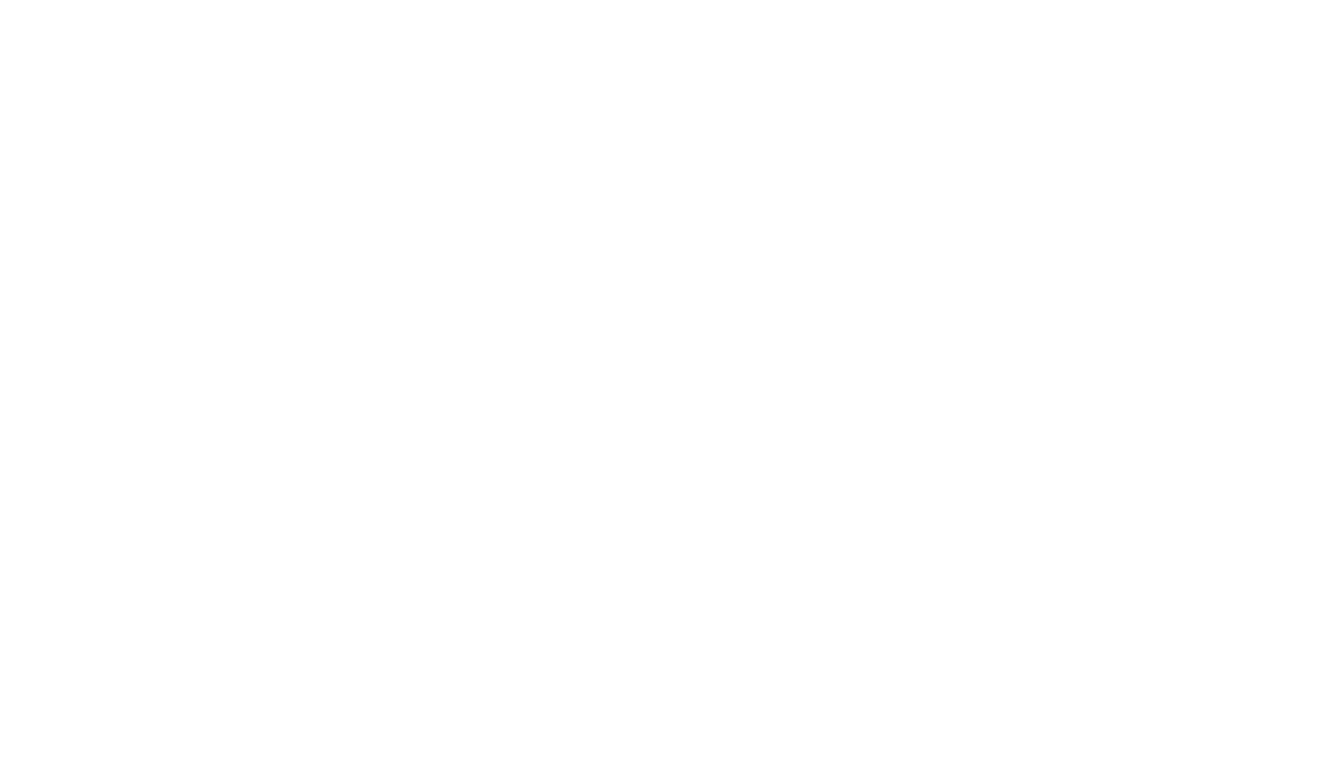 Yeni Parti
